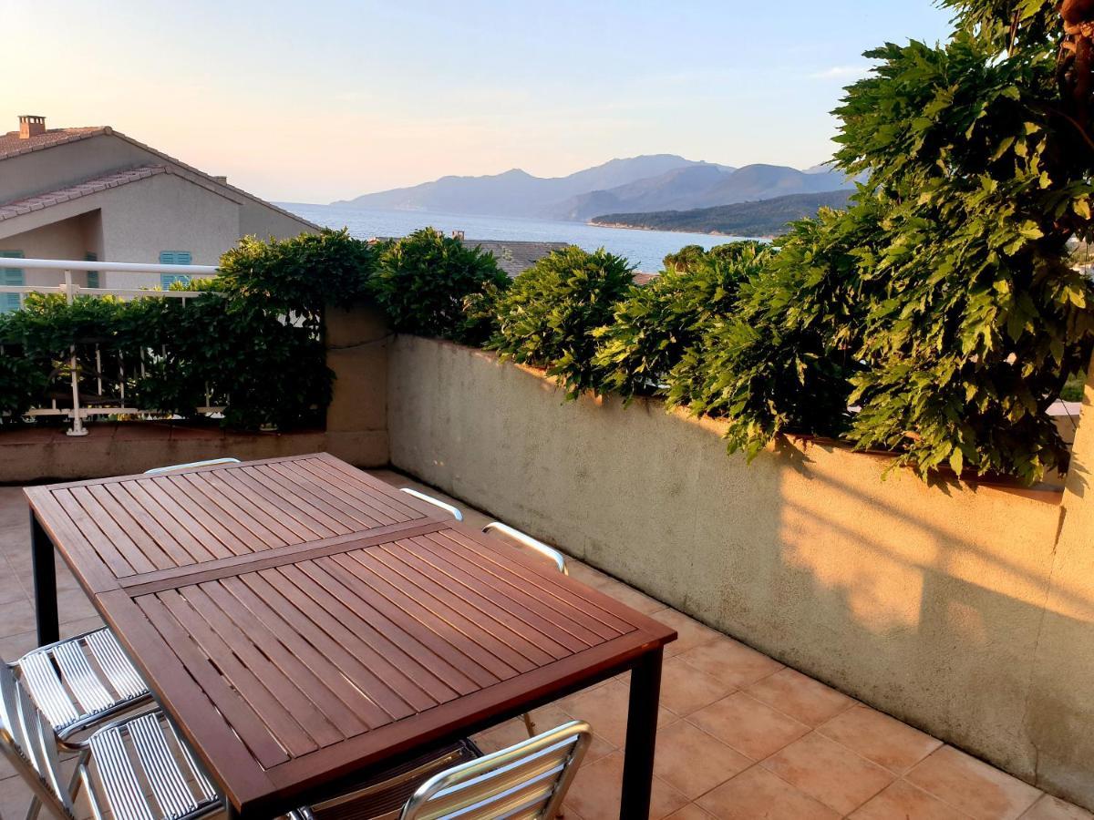 Le Panoramic Apartment Saint-Florent  Bagian luar foto
