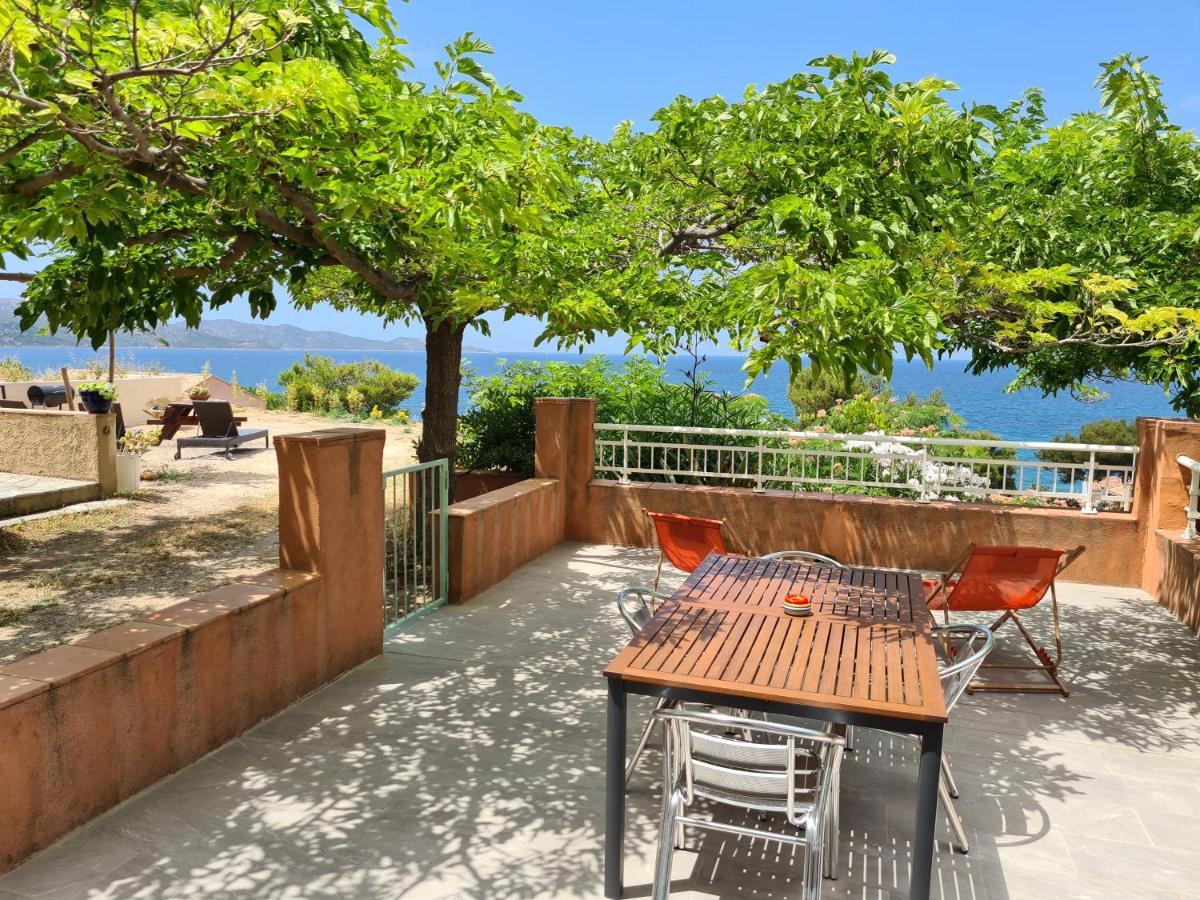 Le Panoramic Apartment Saint-Florent  Bagian luar foto