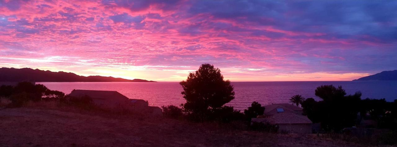 Le Panoramic Apartment Saint-Florent  Bagian luar foto