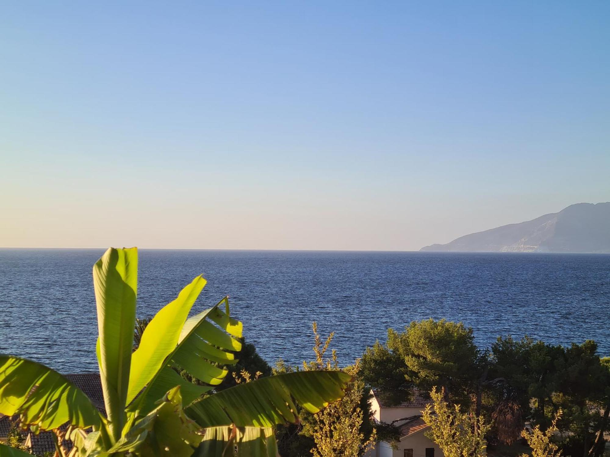 Le Panoramic Apartment Saint-Florent  Bagian luar foto
