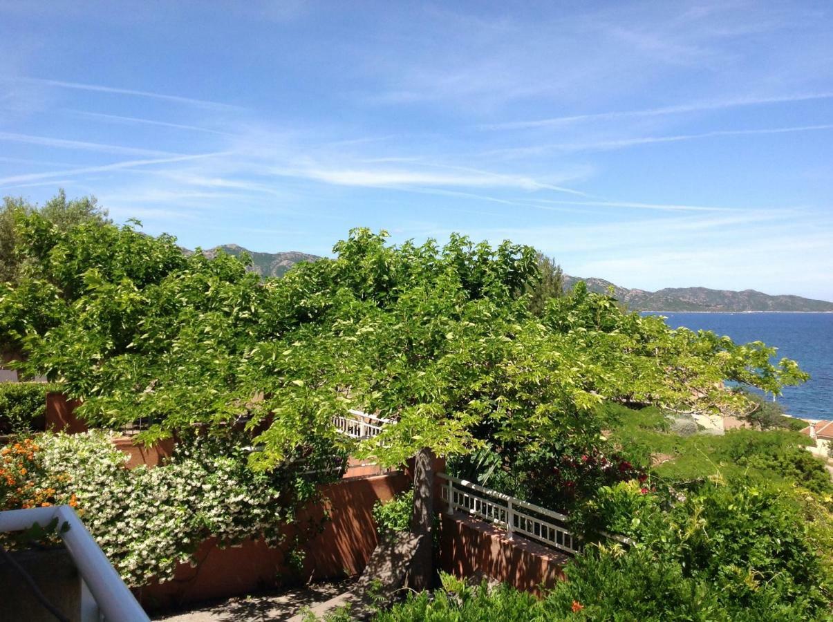 Le Panoramic Apartment Saint-Florent  Bagian luar foto
